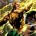 Articles apparentés Avant-Première VO: Review Aquaman #8 Avant-Première VO: Review Aquaman #7 Avant-Première VO: Review Aquaman #5 Avant-Première VO: Review Aquaman #4 Avant-Première VO: Review...