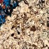 [FRENCH] Panini Comics nous communique: A l&rsquo;occasion de la sortie de Spider-Man #12 (et de sa couverture variante réalisée par l&rsquo;artiste français Mr Garcin), Makassar...