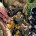 Articles apparentés Preview: Avengers #12 Avant-Première VO: Review Avengers #11 Avant-Première VO: Review Avengers #8 Avant-Première VO: Review Avengers #7 Avant-Première VO: Review Avengers #6...